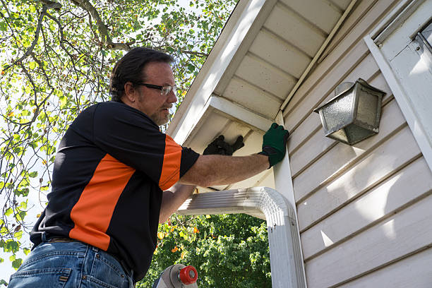 Best Stone Veneer Siding  in Watervliet, NY